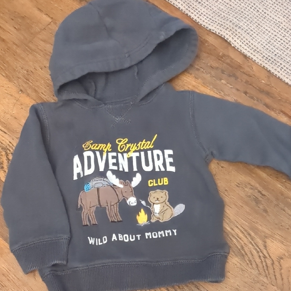 Carter's Gray Adventure Sweatshirt